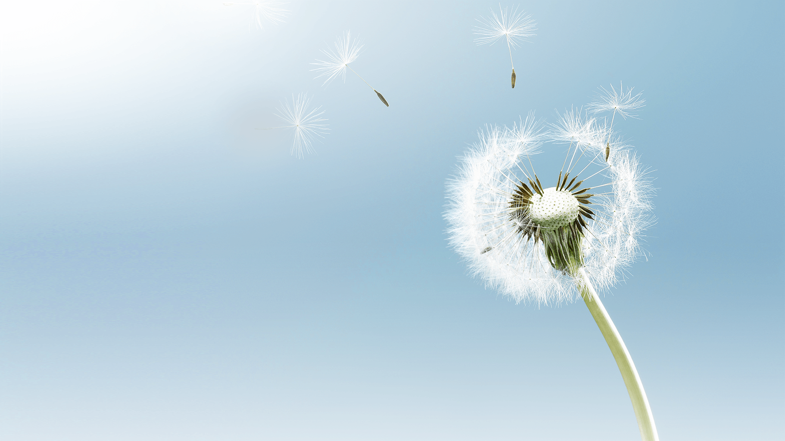 GA�ƽ�ס�(�й�����)�ٷ���վ