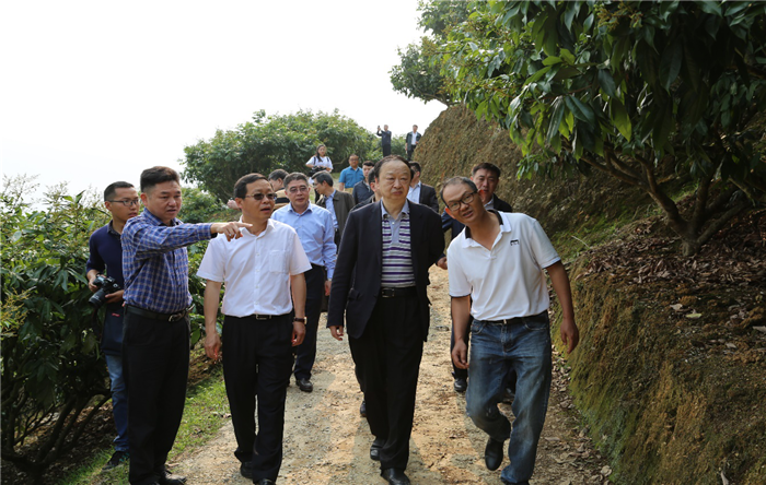 20190417444942.png 35.png