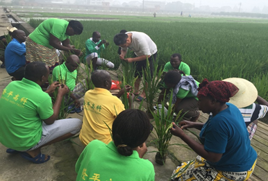 20190426261281.png image.png