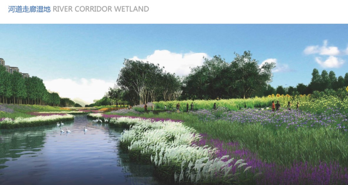 20190830222200.jpg 3.jpg