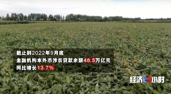 20221229214392.jpg ͼƬ45.jpg