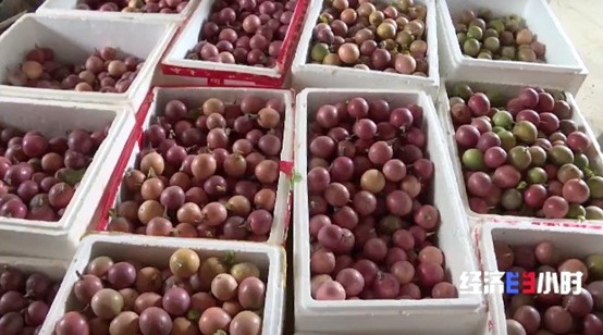 20221229909018.jpg ͼƬ15.jpg