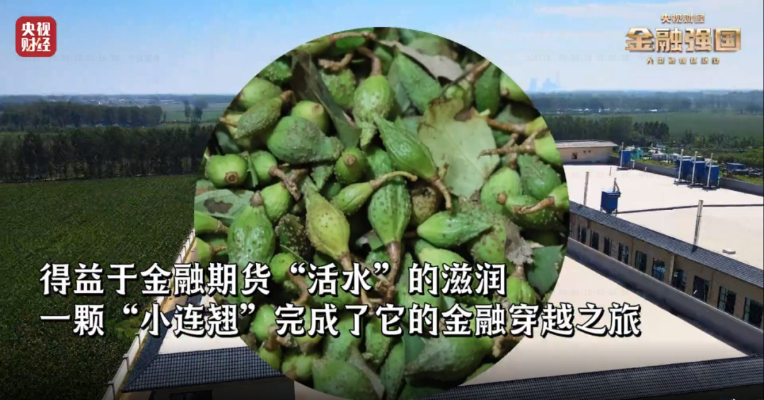 20250109916060.png 图片5.png