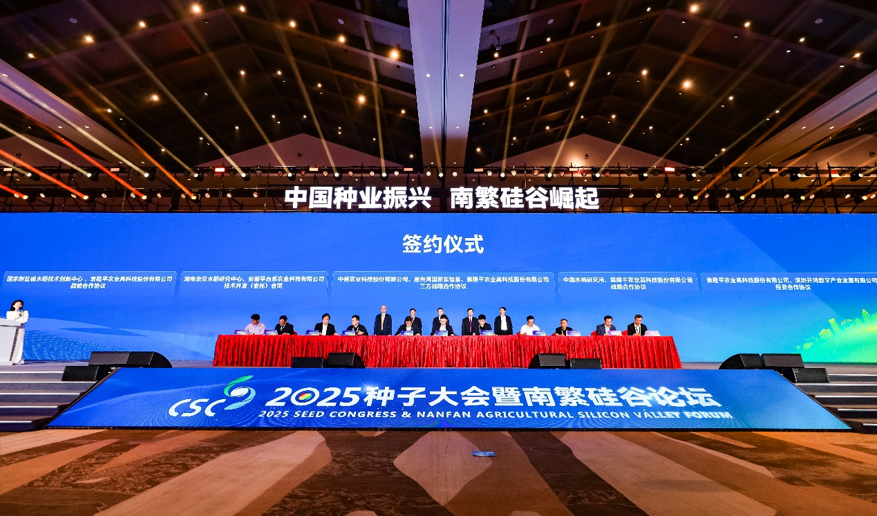 20250326620885.png ͼƬ11.png