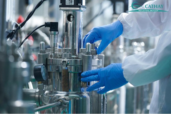 20250721264005.png ΢ÐÅͼƬ_20250721143217.png