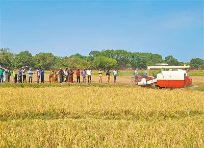 20260228767611.png ΢ÐÅͼƬ_20260227144711_3524_775.png